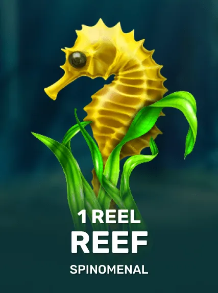 1 Reel Reef