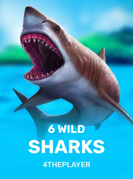 6 Wild Sharks