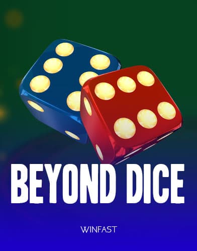 Beyond Dice