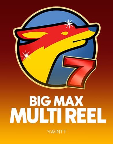 Big Max Multi Reel