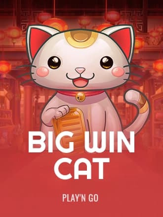 Big Win Cat