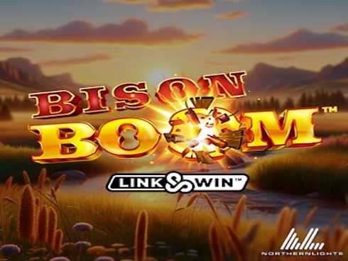 Bison Boom