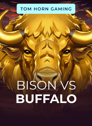 Bison vs Buffalo