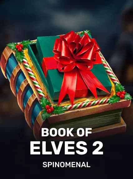 Book Of Elves 2