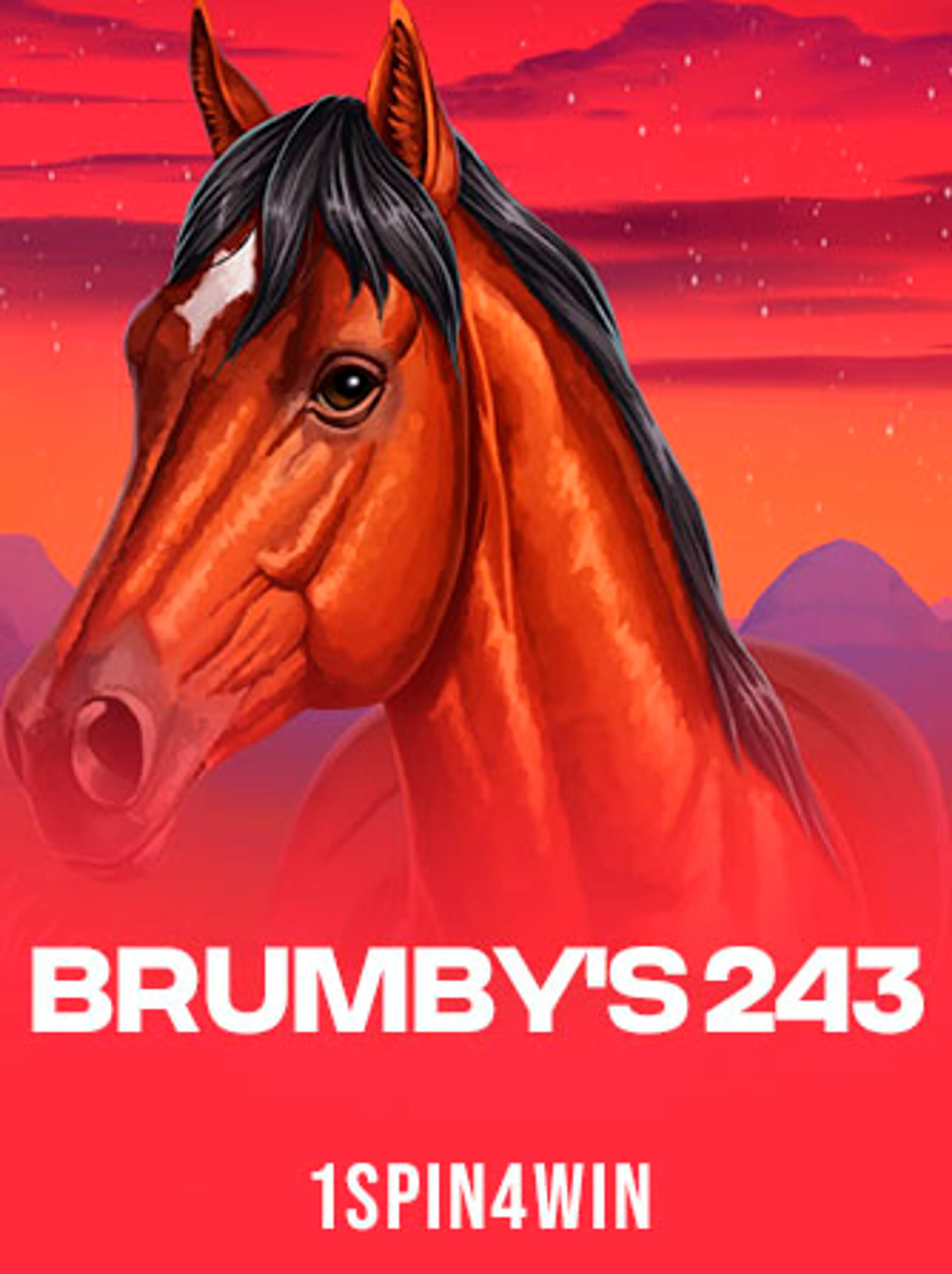 Brumby's 243