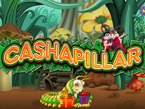 Cashapillar
