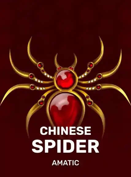 Chinese Spider
