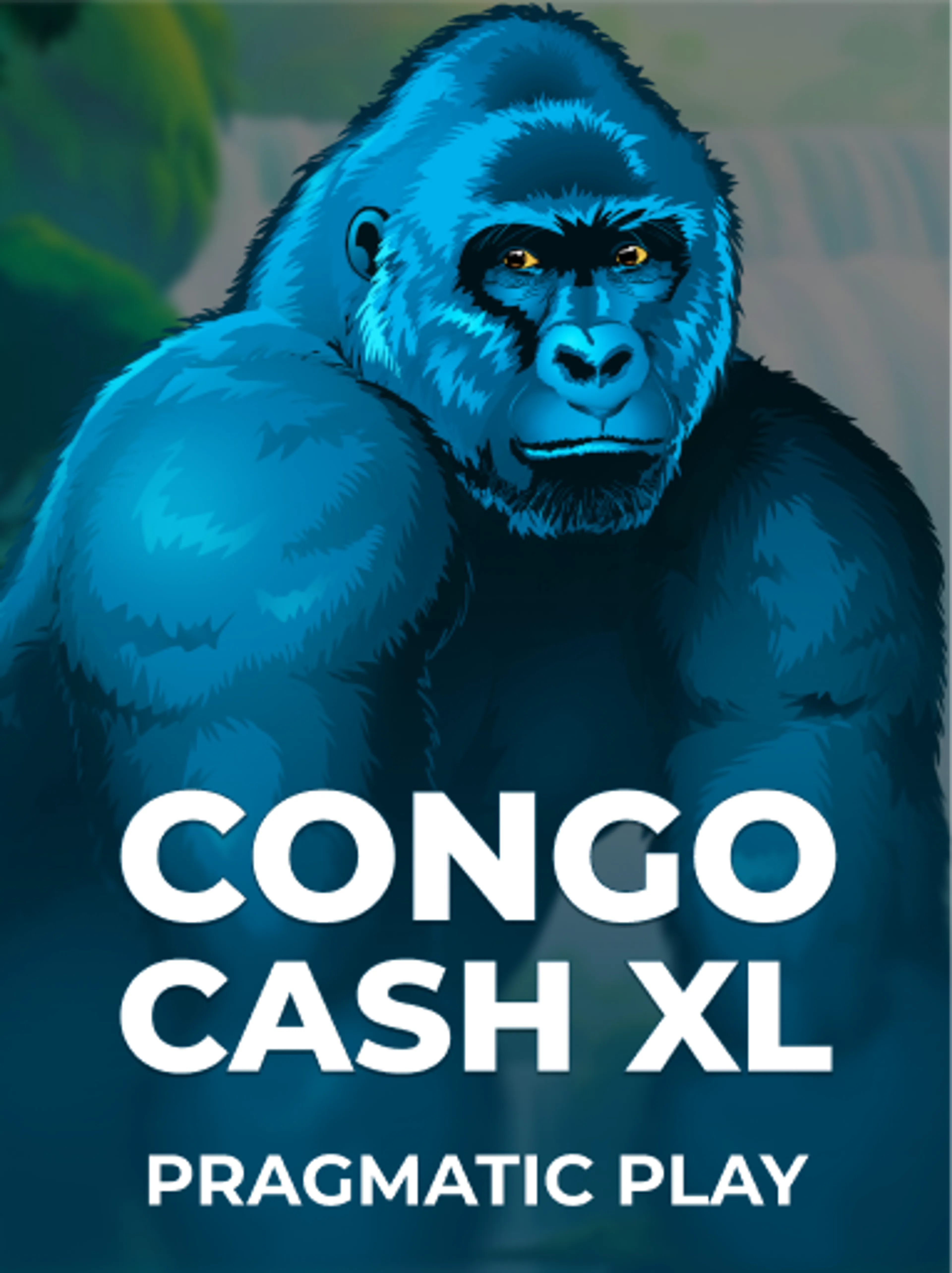 Congo Cash XL