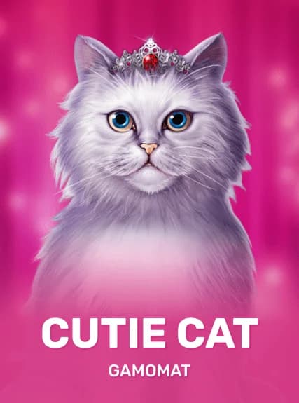 Cutie Cat