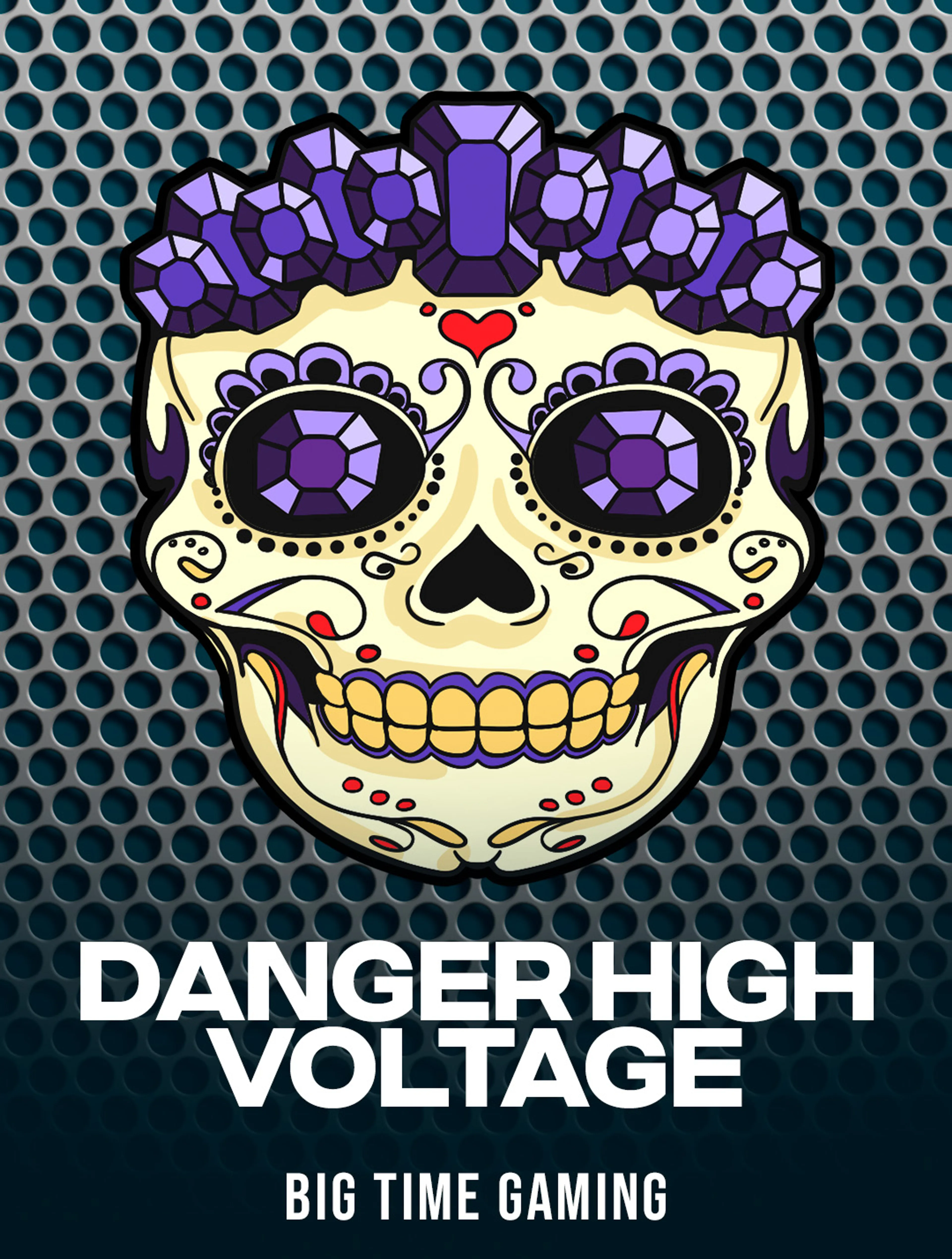 Danger High Voltage