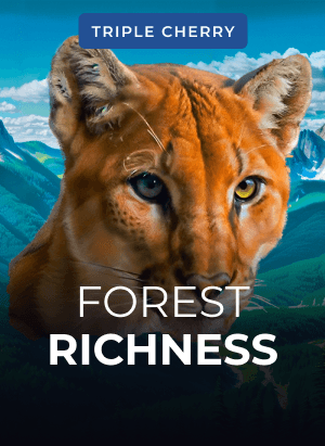 Forest Richness