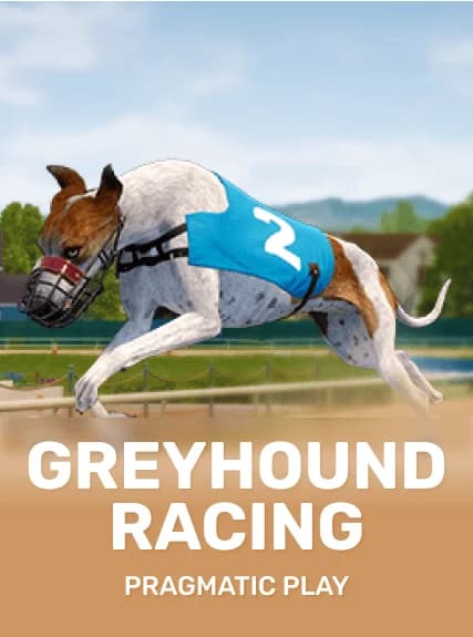 Greyhound Racing