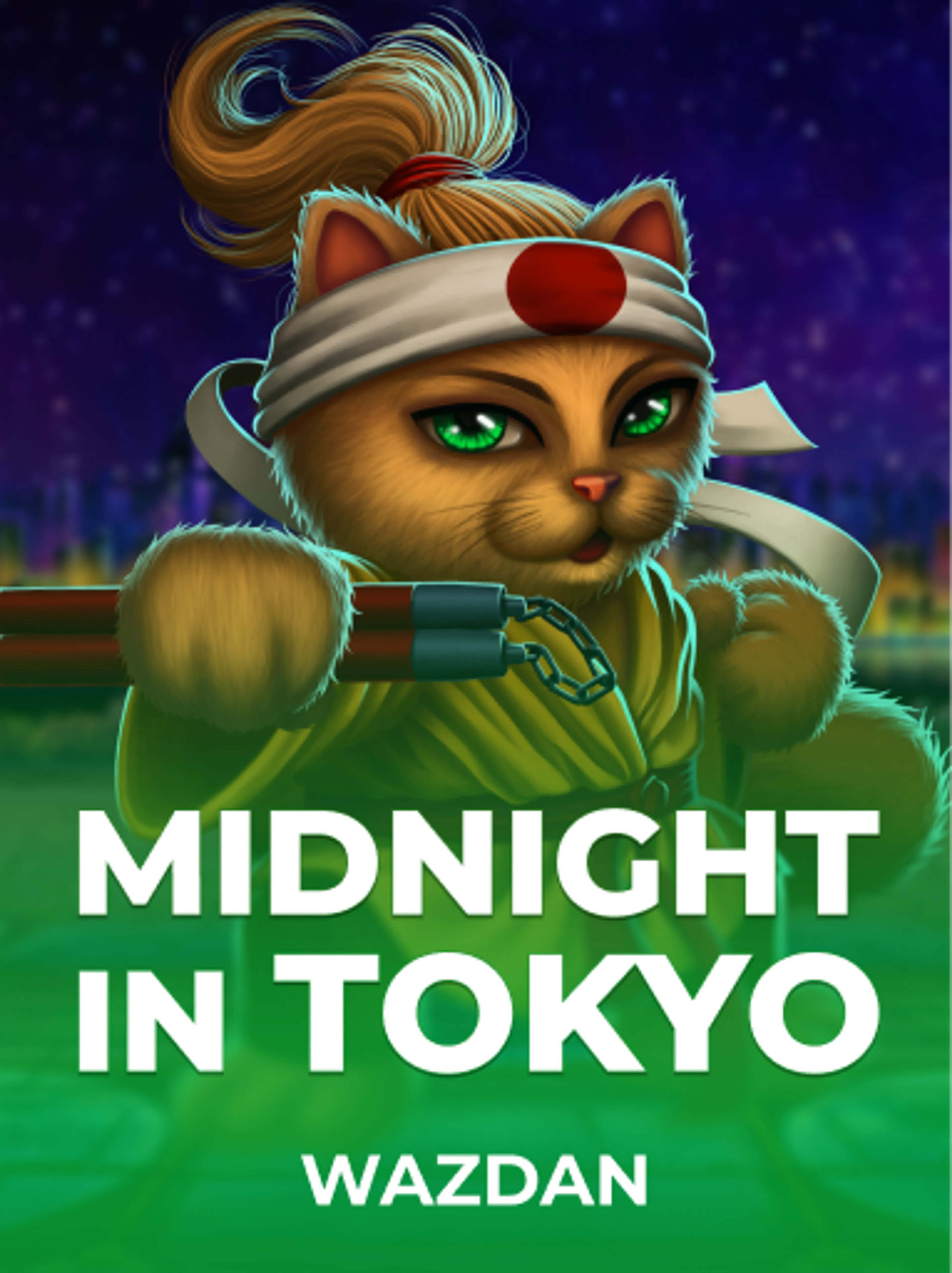Midnight in Tokyo