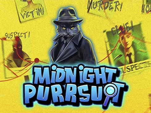 Midnight Purrsuit