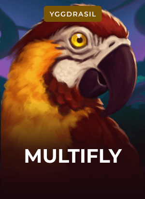 MultiFly!