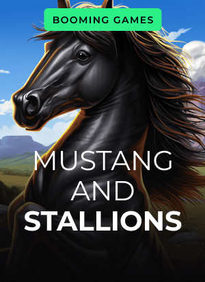 Mustang and Stallions
