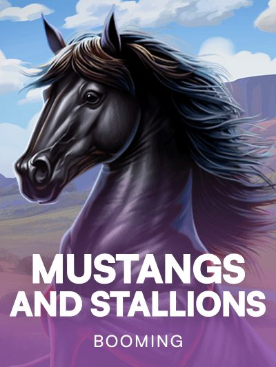 Mustangs and Stallions
