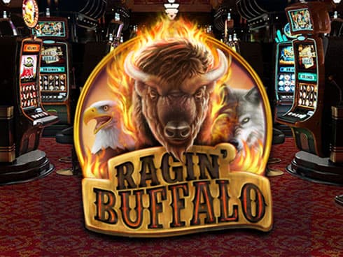 Ragin' Buffalo
