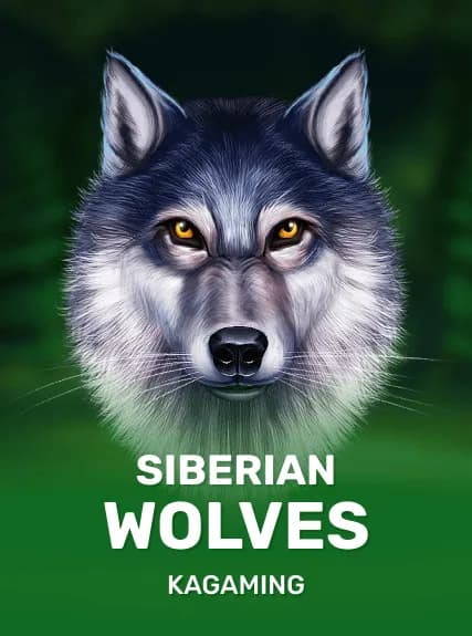 Siberian Wolves