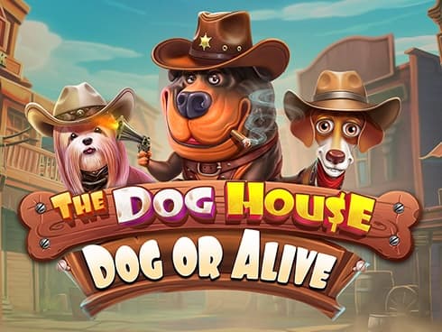 The Dog House – Dog or Alive