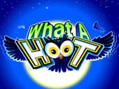 What a Hoot