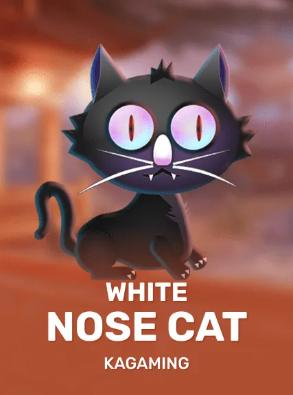 White Nose Cat