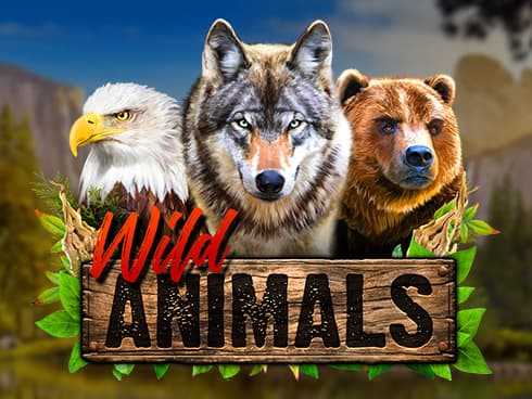 Wild Animals