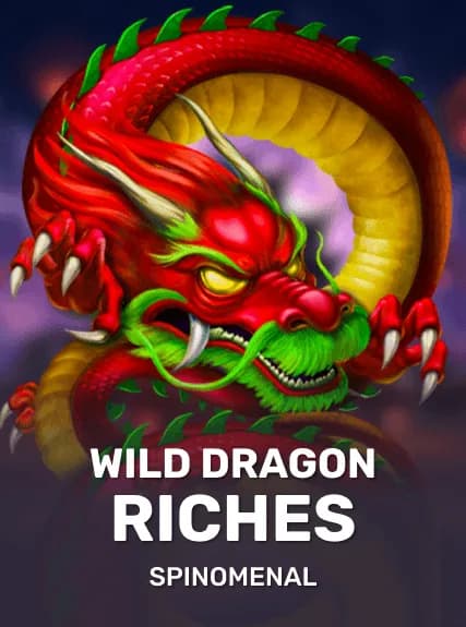 Wild Dragon Riches