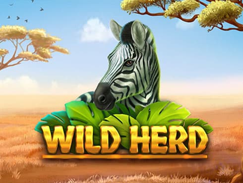 Wild Herd