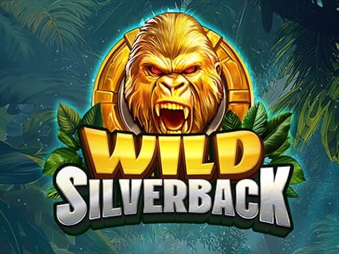 Wild Silverback