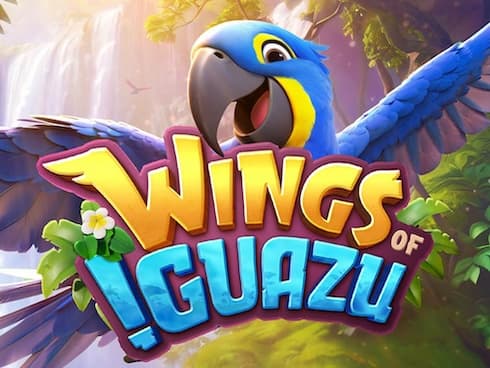 Wings of Iguazu